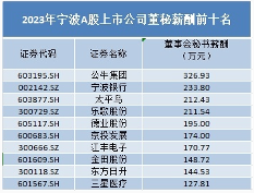 宁波A股高管薪酬霸榜：光伏领跑，电力设备与汽车成赢家(图2)