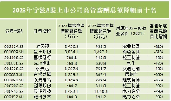 宁波A股高管薪酬霸榜：光伏领跑，电力设备与汽车成赢家(图4)